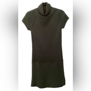 COZY SWEATER DRESS (Size Small)